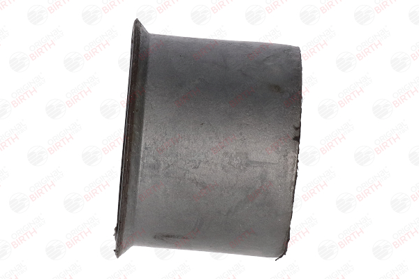 BIRTH 2506 Silent block Skoda Fabia 6y2 1.9 TDI RS 130 CV ASZ