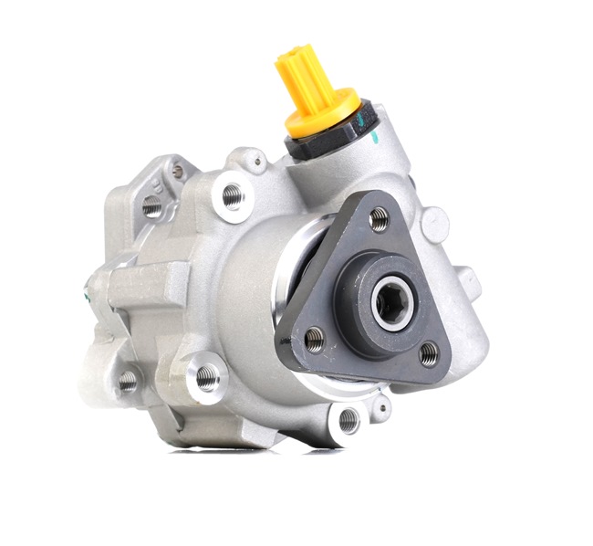 MEYLE 314 631 0002 Pompa idroguida BMW E46 330xi 3.0 231 CV M54 B30 (306S3)