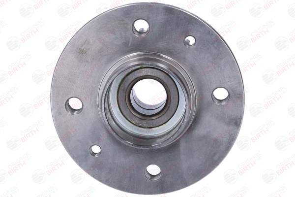 BIRTH 3447 Cubo de rueda Renault Megane Scenic 2.0 i (JA02, JA0G) 109 CV