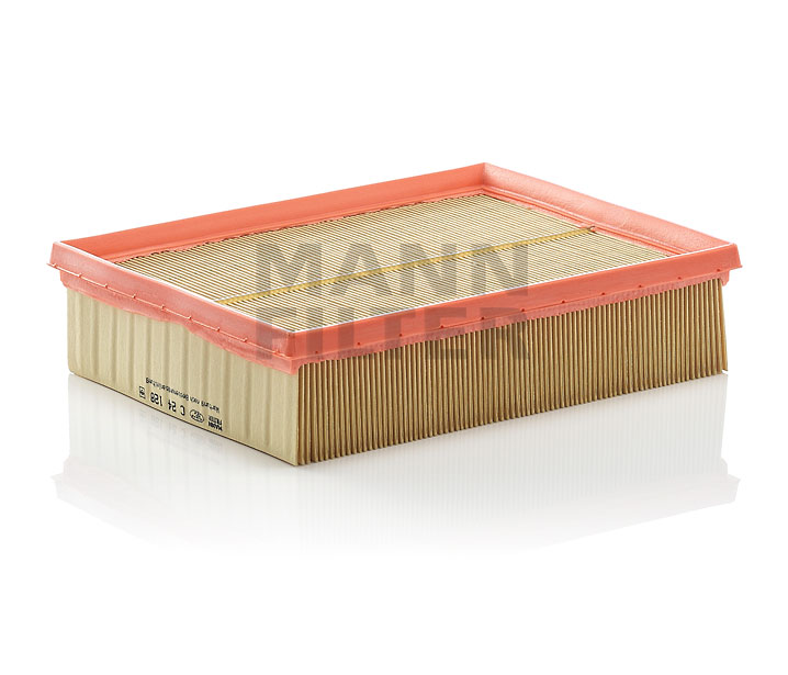 OPEL MANN-FILTER Air filters C 24 128