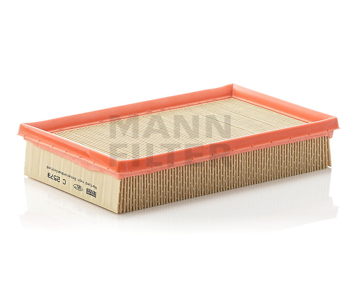 OPEL MANN-FILTER Engine filter C 2579