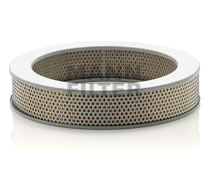 ASIA MOTORS MANN-FILTER Luftfilter C 2963/1