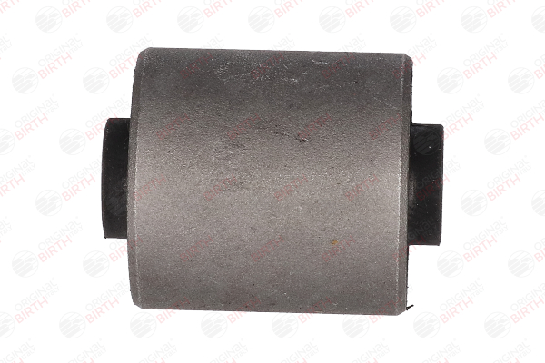 BIRTH 4610 Silent block CITROËN Jumpy I MPV 1.9 D 69 PS D9B (XUD9A/U)