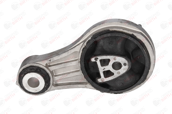 BIRTH 5017 Supporto motore Renault Kangoo 2 Express 1.5 dCi 105 (FW0F) 103 CV K9K 806