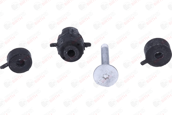 BIRTH 50216 Bieleta de suspensión Renault Megane Scenic 1.9 dTi 98 cv F9Q 734