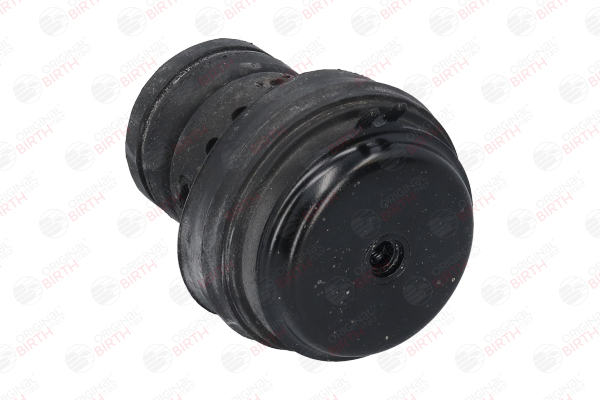 BIRTH 50502 Fasce elastiche 1.0 (BB0Y, BB2Y, CB0Y, CB2Y) 58 CV D7D 760