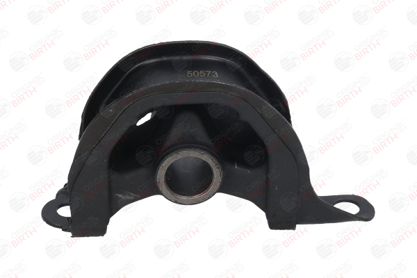 BIRTH 50573 Fasce elastiche 2.0 (RD1) 133 CV B20Z1