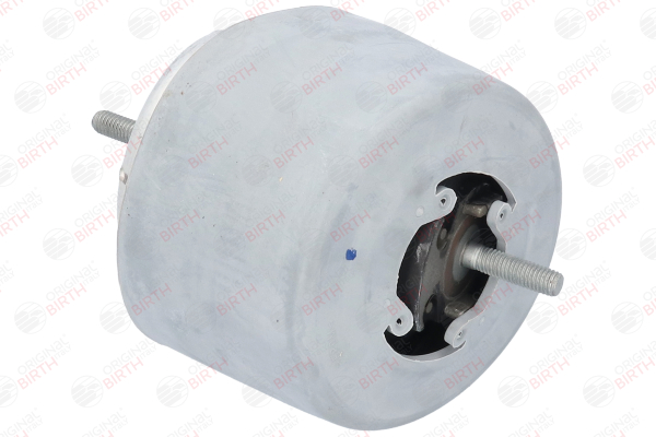 BIRTH 50746 Supporto motore Audi A4 8h 3.0 218 CV BBJ