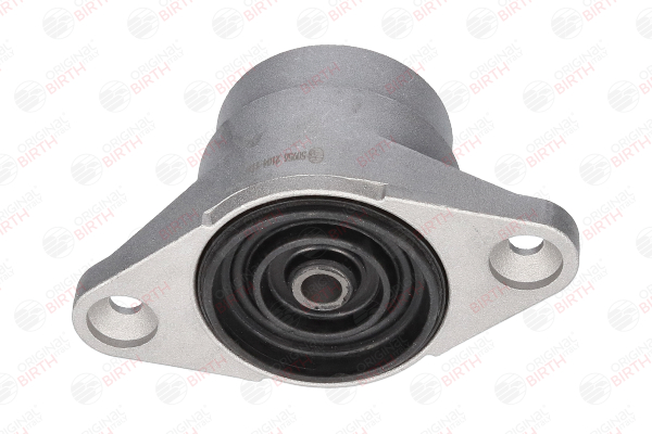 BIRTH 50956 Blattfeder 1.8 T 170 PS AMB
