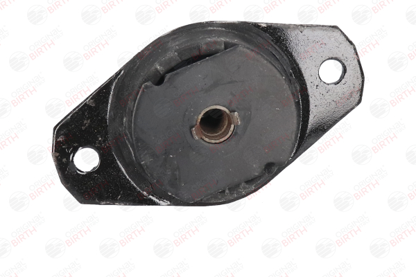 BIRTH 51146 Fasce elastiche 1.0 76 CV 178 A1.000