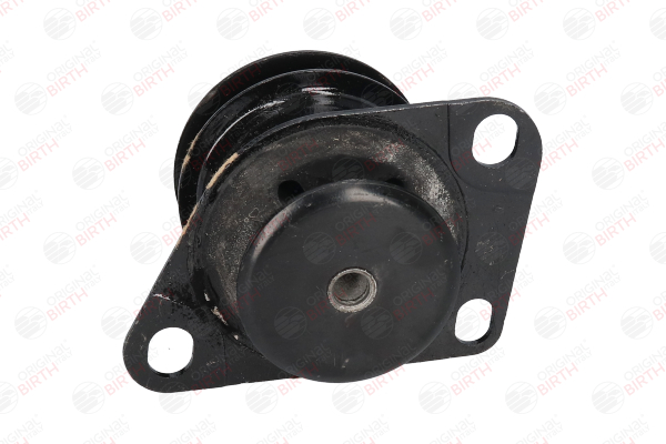 BIRTH 51147 Fasce elastiche 1.5 84 CV 178 E5.022