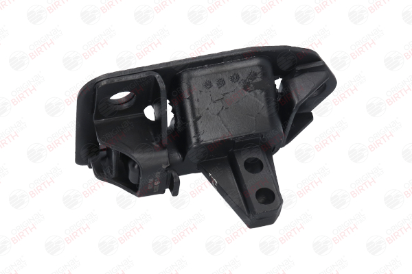 BIRTH 51202 Fasce elastiche 2.4 Bifuel 144 CV GB 5252 S