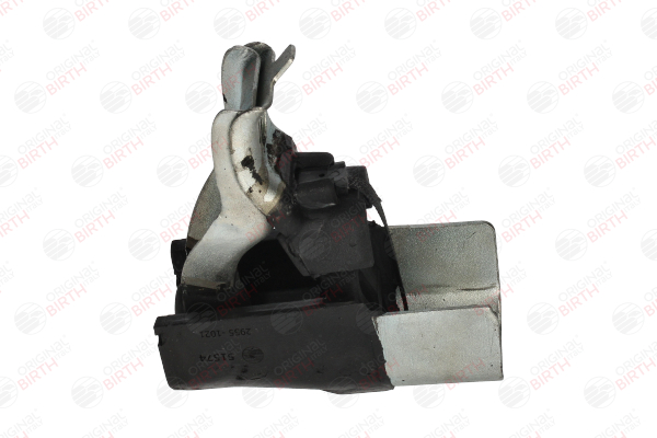 BIRTH 51574 Chapa de protección térmica 1.6 112 cv K4M 801