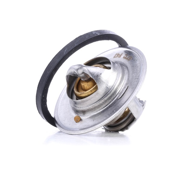 FAE 5204787 Termostaatti Gemini Hatchback (JT) 1.5 D 50 hv 4EC1