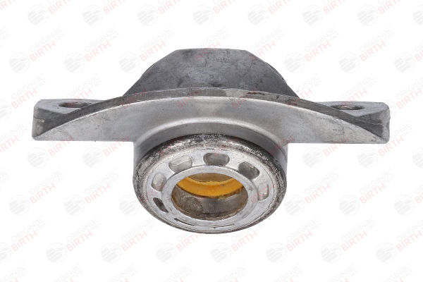 BIRTH 52155 Luftfederung 1.7 CDTI 4x4 (_76) 131PS 2021