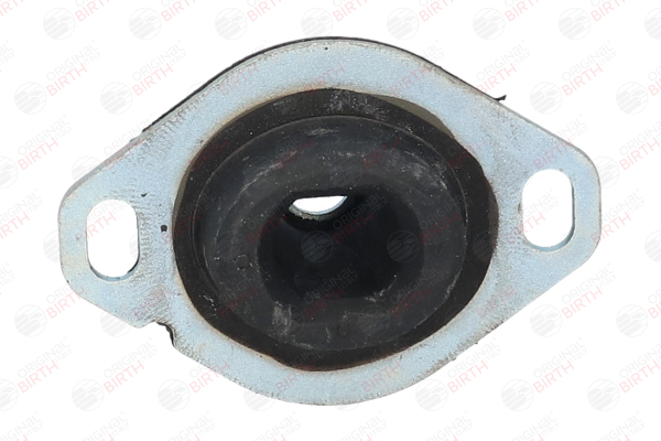 BIRTH 5233 Fasce elastiche 1.6 75 CV BAZ (XU5CP)