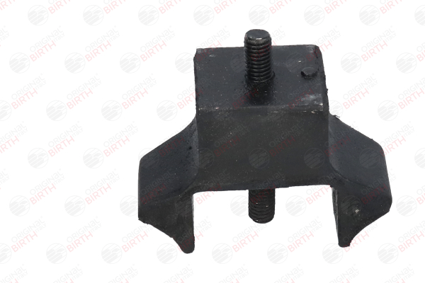 BIRTH 5234 Fasce elastiche 1.6 75 CV BAZ (XU5CP)