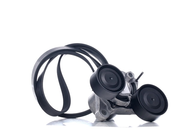 INA 529 0206 10 Cinghia servizi BMW F34 330 d 286 CV N57 D30 A