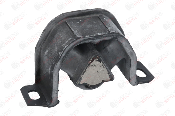 BIRTH 5320 Fasce elastiche 1.7 94 CV F3N 747