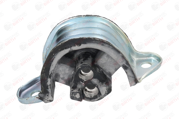BIRTH 5321 Fasce elastiche 1.7 94 CV F3N 747