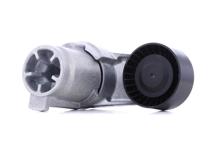 INA 534 0433 10 Tenditore cinghia servizi BMW F34 335i 3.0 326 CV N55 B30 A