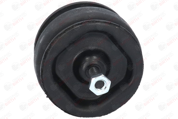 BIRTH 5527 Motorsteun FORD Transit Mk3 Bus (VE6) 2.0 Cat (TBS, TCL, TCS) 78 Pk N6T