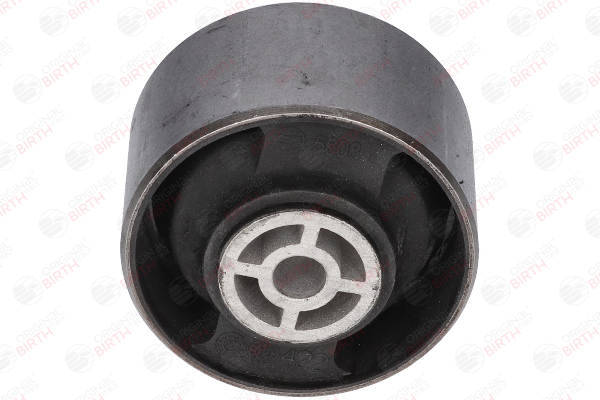 BIRTH 5608 Fasce elastiche 1.6 75 CV BAZ (XU5CP)